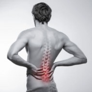 Preventivní cvičení s fyzioterapeuty pro zdravá záda